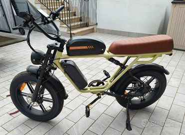 Bicicletta elettrica Engwe M1 Dual Battery