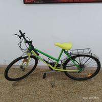 Bicicletta ragazza/donna