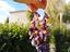 Immagine 4