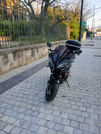 Fz6 600 fazer