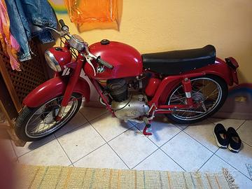 mv augusta