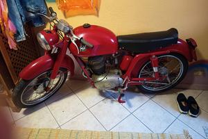 mv augusta