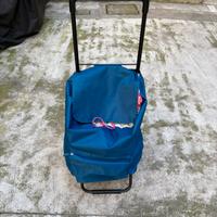 Carrello spesa