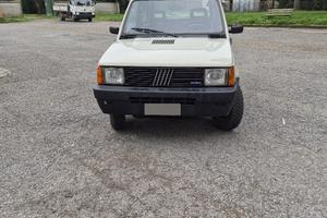 Panda 1.0 4x4 da collezione 