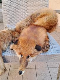 Colle volpe completa Originale rossa Groenlandia