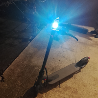 Monoppattino elettrico