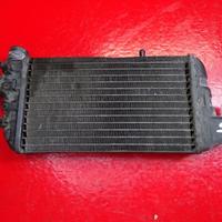 RADIATORE ACQUA SX BMW K1200GT