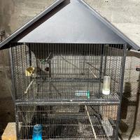 Gabbia grande voliera per uccelli