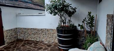 Casa indipendente su 3 lati con giardino privato