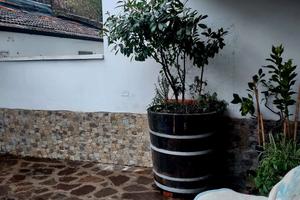 Casa indipendente su 3 lati con giardino privato