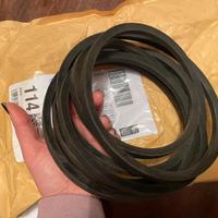 Cinghia trapezoidale