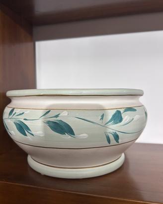 Vaso con foglie