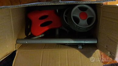 Bicicletta a tre ruote