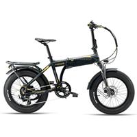Bici elettrica Armony Asso Pro
