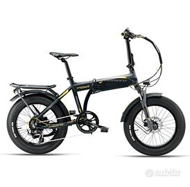 Bici elettrica Armony Asso Pro