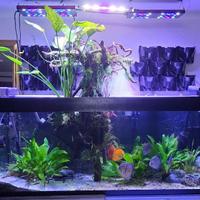 Acquario completo 450L - impianto automatizzato f.