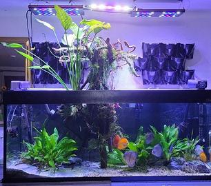 Acquario completo 450L - impianto automatizzato f.