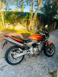 Honda Hornet 600