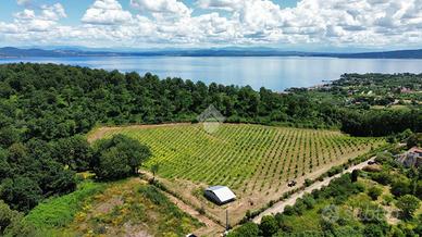 TER. AGRICOLO A BRACCIANO