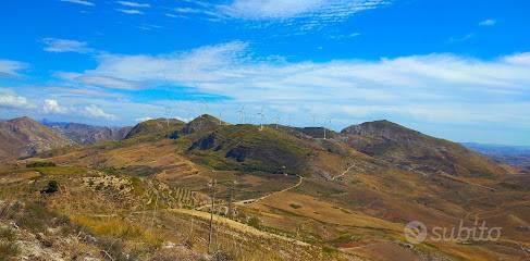 TERRENO AGRICOLO