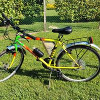 Mountain bike