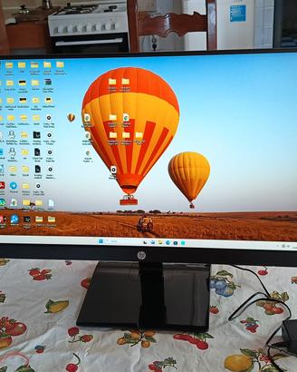 Monitor PC HP 24 pollici Modello HSD-008-V 