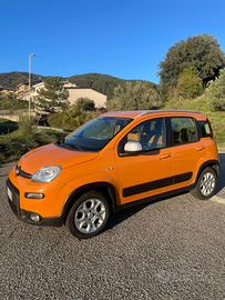 Fiat Panda Trekking 4x2