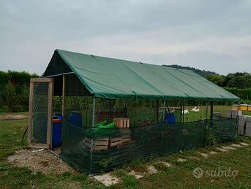 Ricovero attrezzi, serra, gabbia per polli/galline