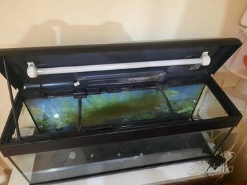 acquario 100 litri