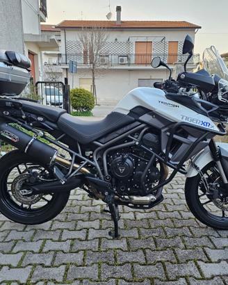 Triumph Tiger XRX 800 - Come Nuova - Pochissimi KM