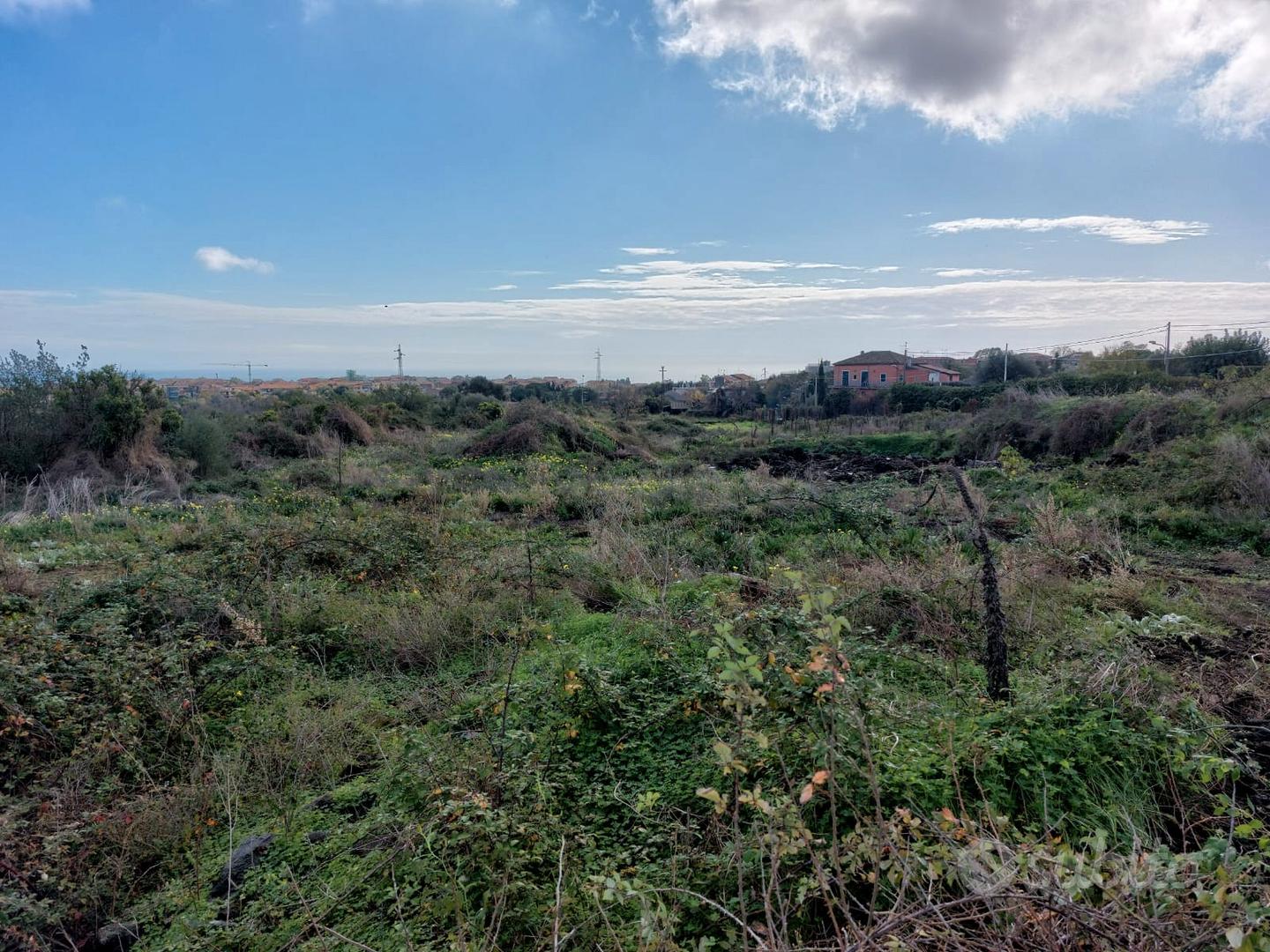 Panoramico lotto 22.000 mq via torretta acireale - Vista 4