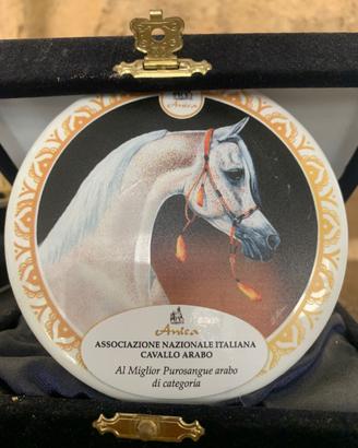 Cavallo
