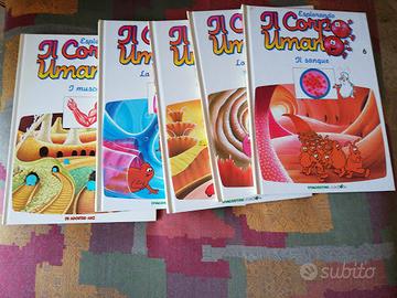 Esplorando il corpo umano