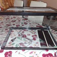 teca per le tartarughe 