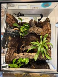 Terrario