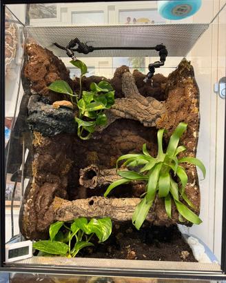 Terrario