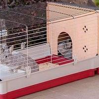 gabbia per coniglio misure vedi foto in inserzione