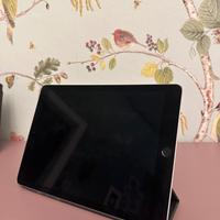 iPad Pro 9.7” Wi-Fi + cellular, 128 gb
