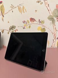 iPad Pro 9.7” Wi-Fi + cellular, 128 gb