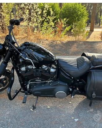 Harley Davidson street bob