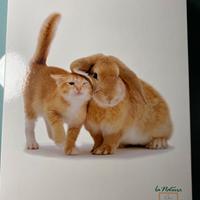 Copripiumino matrimoniale BASSETTI nuovo mai usato