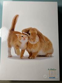 Copripiumino matrimoniale BASSETTI nuovo mai usato