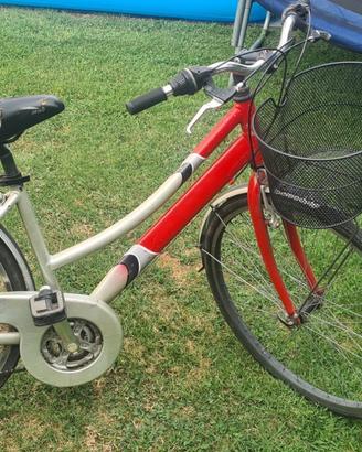 Bicicletta da donna