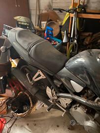 Suzuki bandit