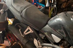 Suzuki bandit