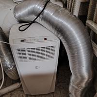 pinguino condizionatore 