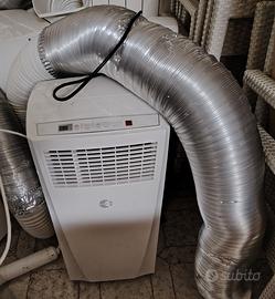 pinguino condizionatore 