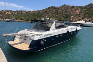 Rizzardi 50 Top Line