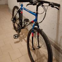 bicicletta shiman