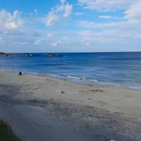 Impiegato d'ufficio - Supporto al Cliente